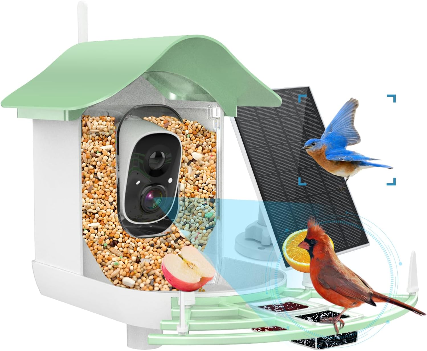 1080P HD Smart Bird Feeder with AI Camera