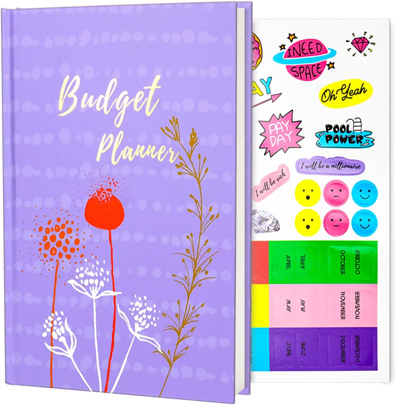 LLi Cufite Budget Planner - Optimize Your Finances!