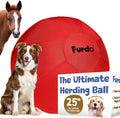25 in Herding Ball for Dogs - Durable Chase Toy for Medium & Large