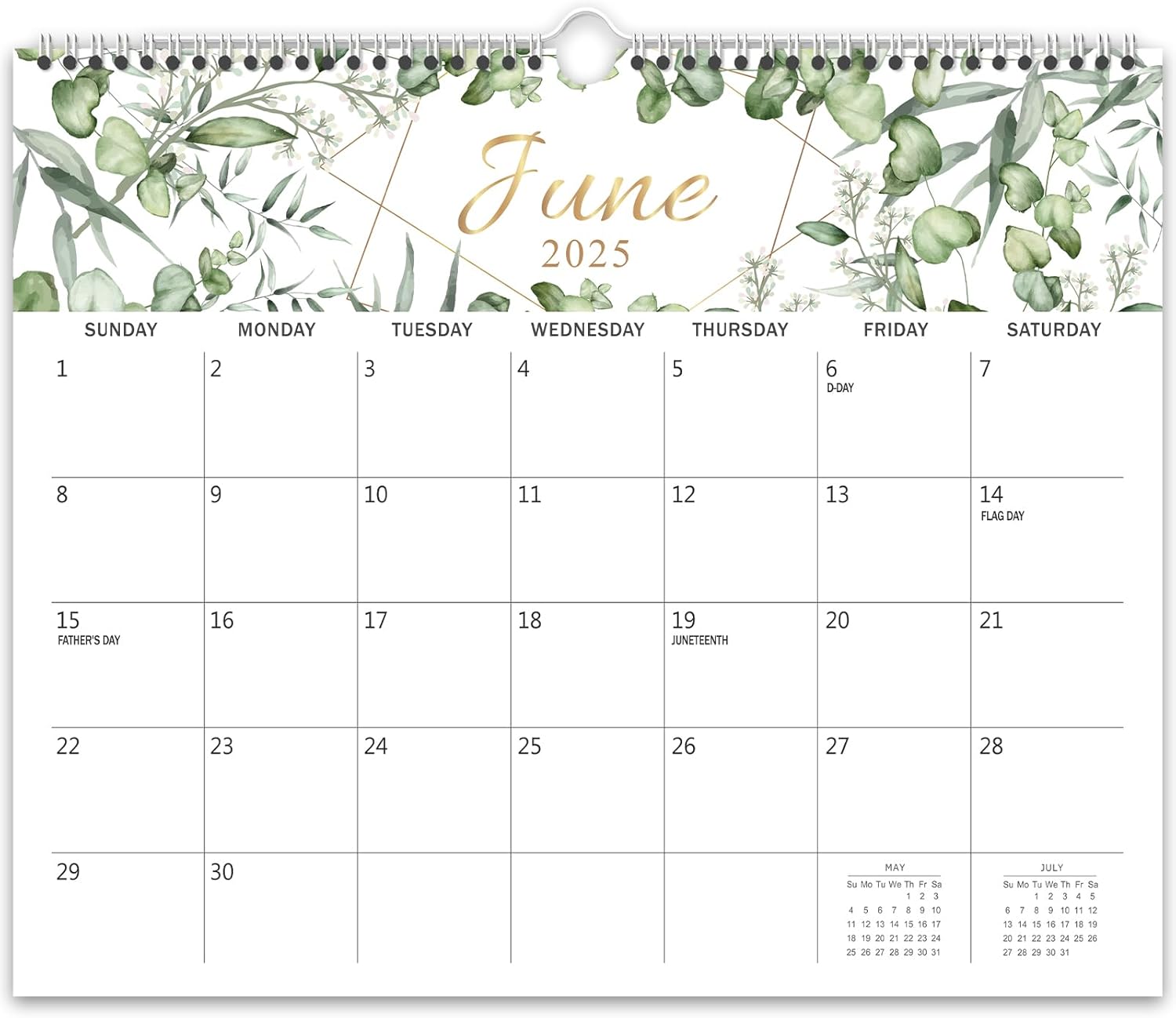 2025-2026 19-Month Plant Wall Calendar by GuassLee