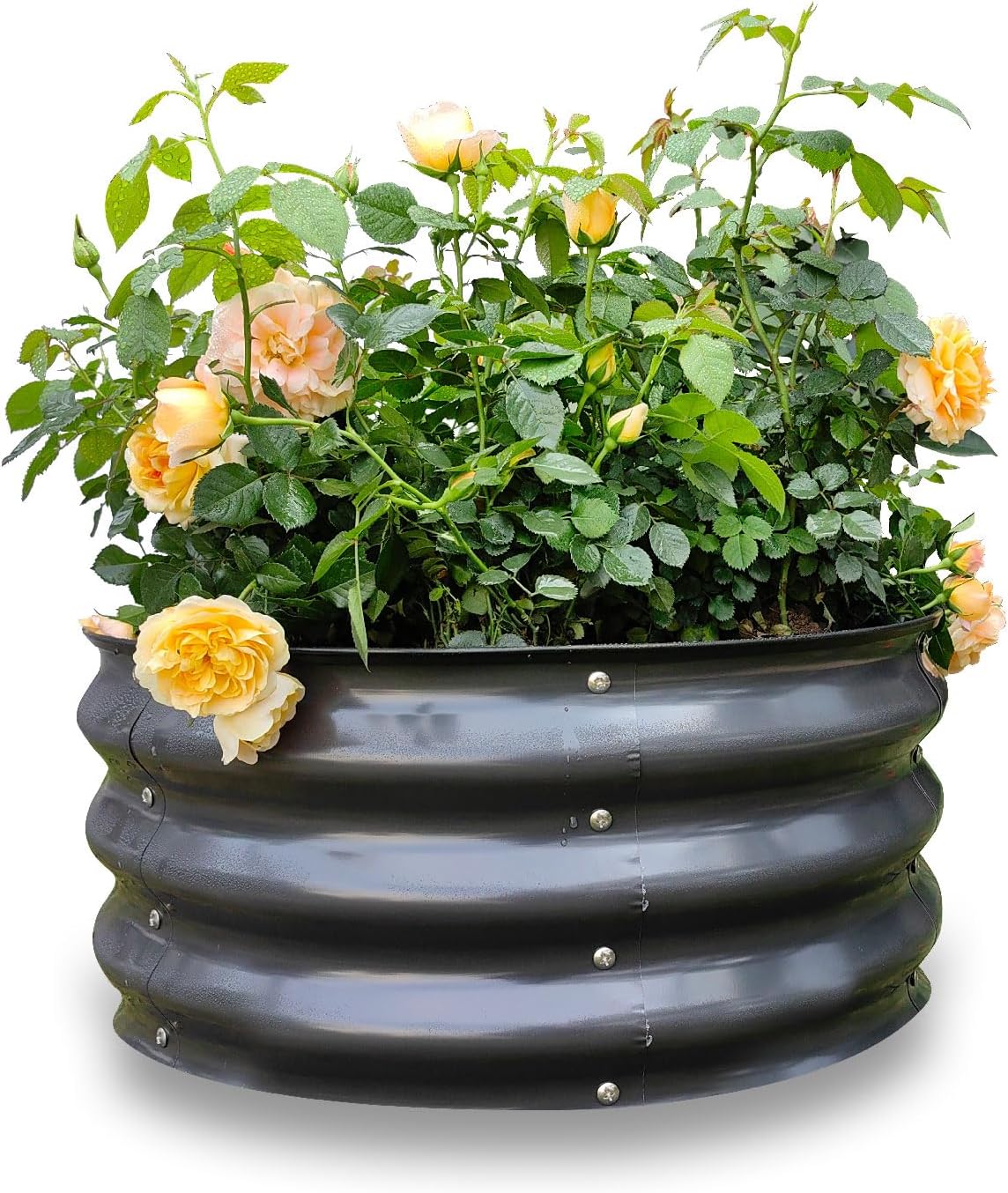 GARDMAX Galvanized Round Raised Garden Bed Kit for All Plants