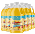 Antibacterial Mango Foaming Hand Soap - 1/2 Gallon Refill (64 oz)