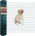 Green PVC Coated Welded Wire Fence 48 in x 50 ft - Garden Border