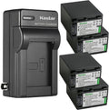 Kastar NP-FH100 4-Pack Battery and AC Wall Charger - Long Runtime