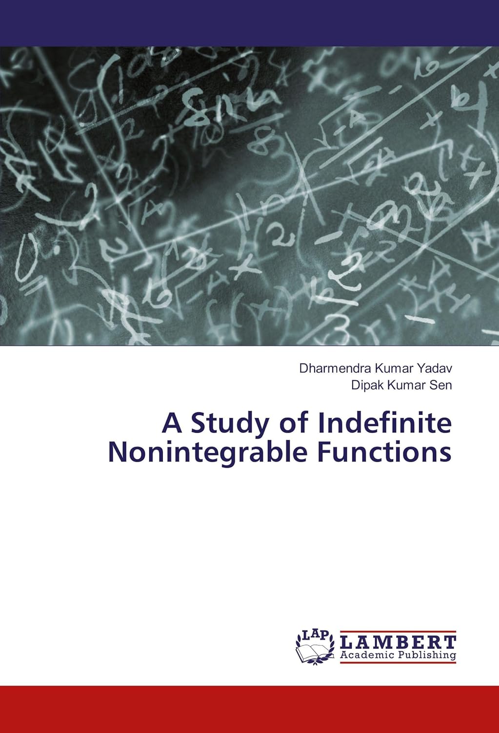 Indefinite Nonintegrable Functions Analysis and Insights