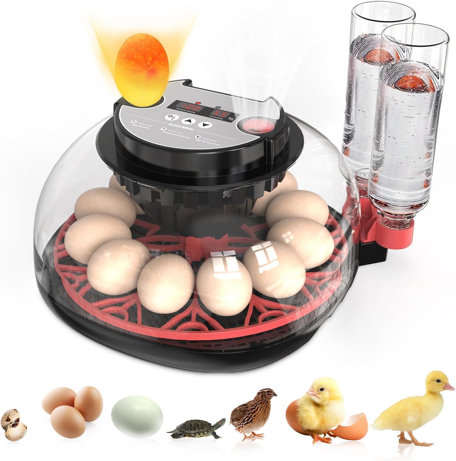 Automatic Egg Incubator with Temperature Control for 12 Eggs