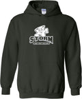 UGP Campus Apparel NCAA Primary Logo Hoodie - Comfortable Campus Lake