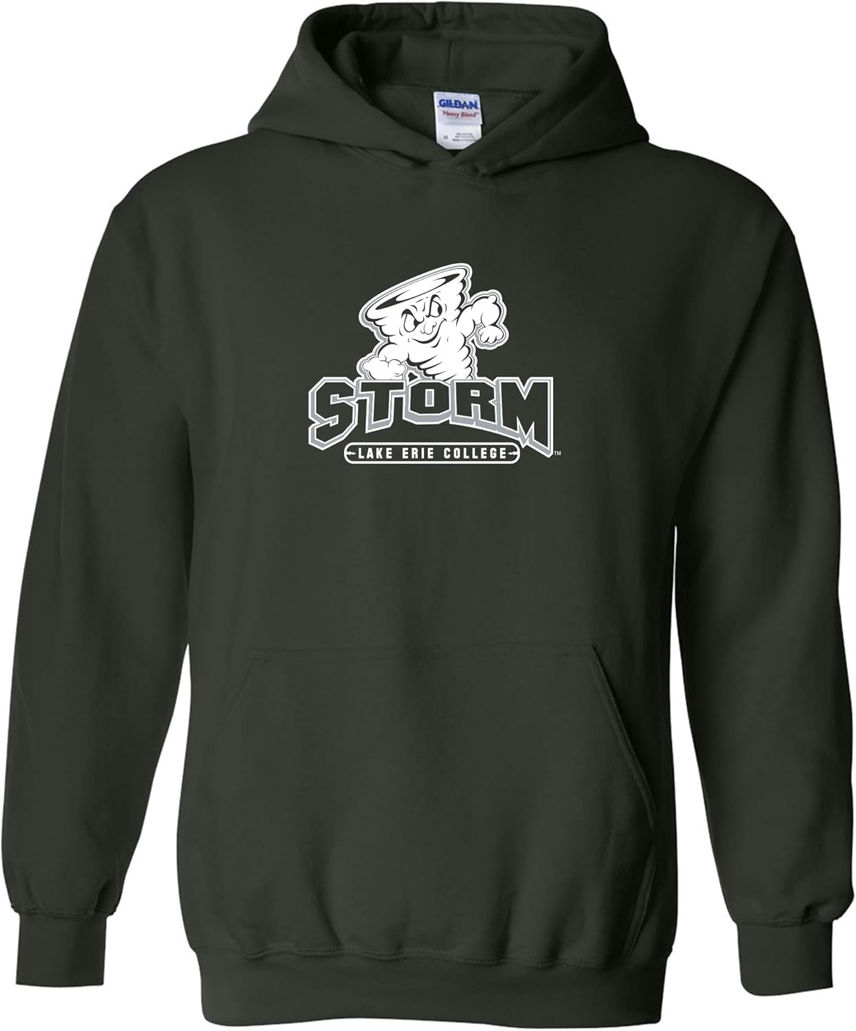 UGP Campus Apparel NCAA Primary Logo Hoodie for School Spirit
