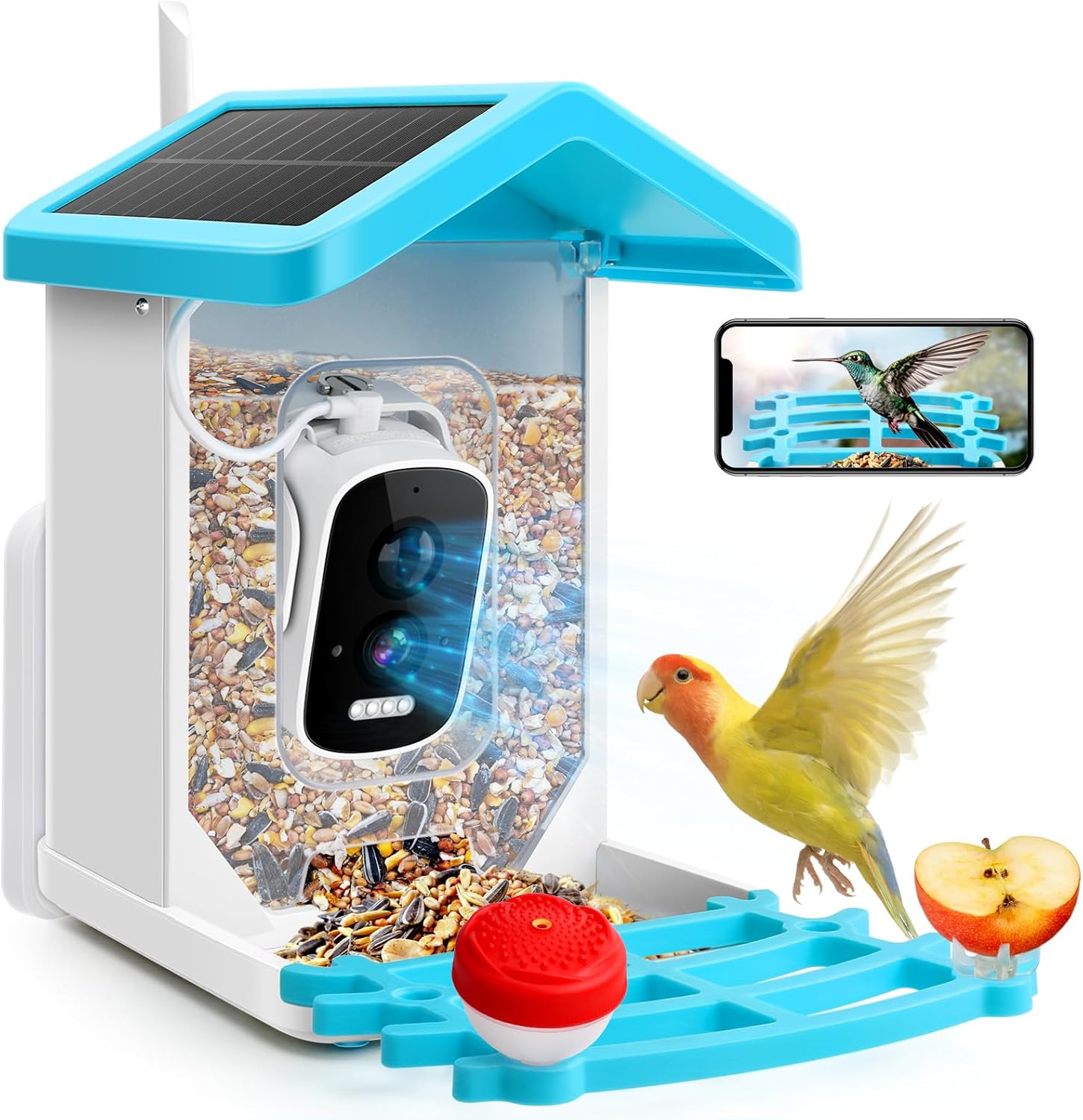 2K HD Bird Feeder Cam with AI Identify