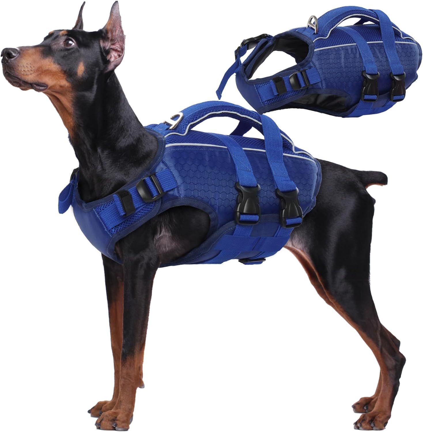 Kuoser Dog Life Jacket High Flotation for Safe Swimming Fun