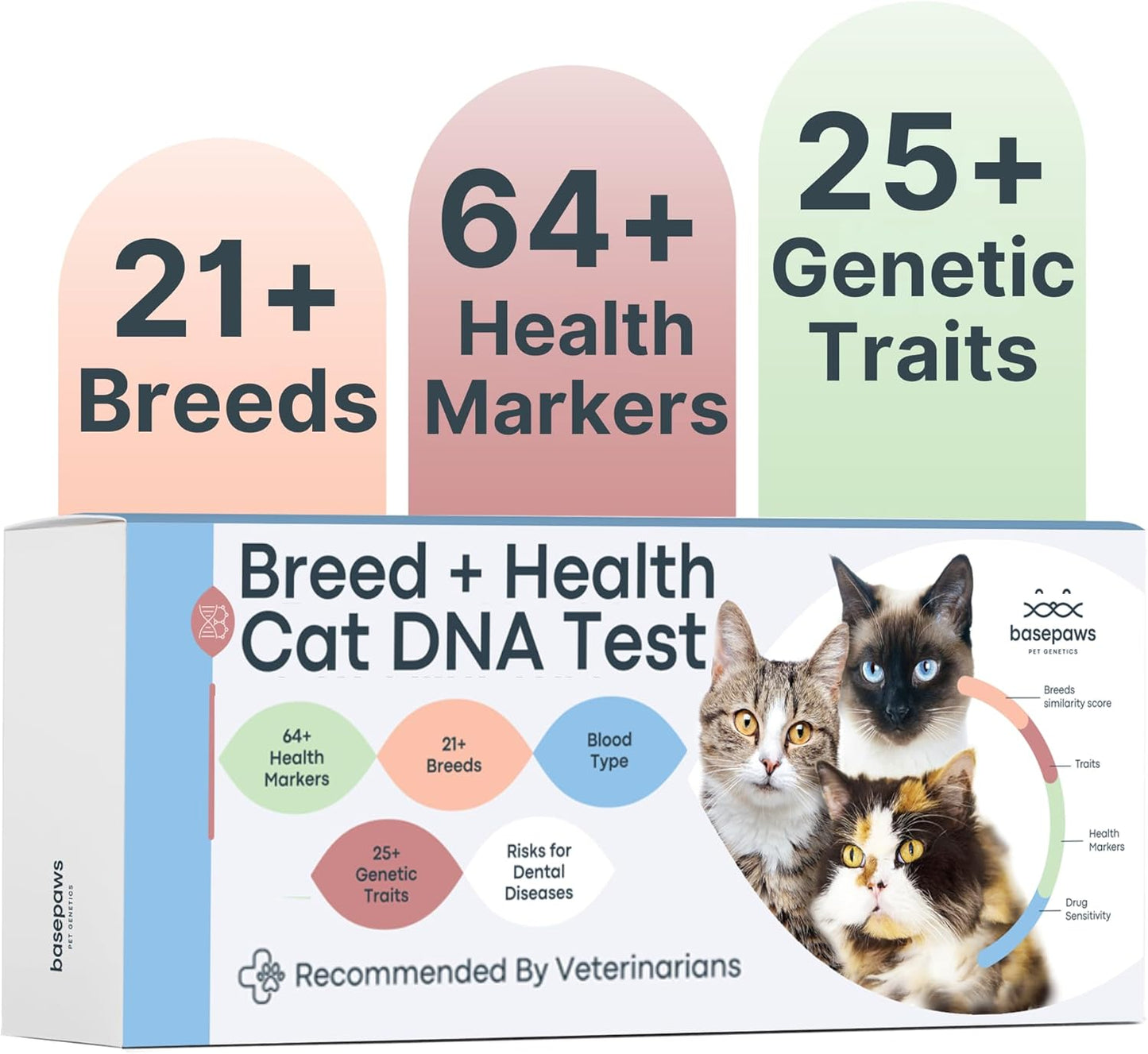 Basepaws Cat DNA Test Kit for Comprehensive Health Insights