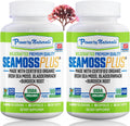 Sea Moss Plus Organic Capsules - Immunity & Energy Support