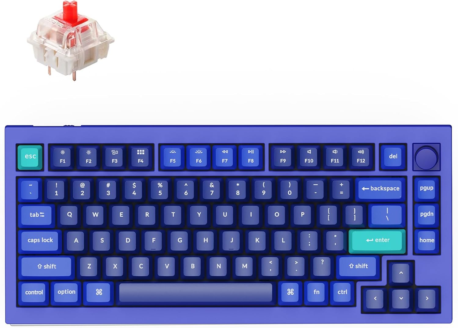 Keychron Q1 RGB Mechanical Keyboard: Custom Knob, Hot-swappable Gateron Red Switch