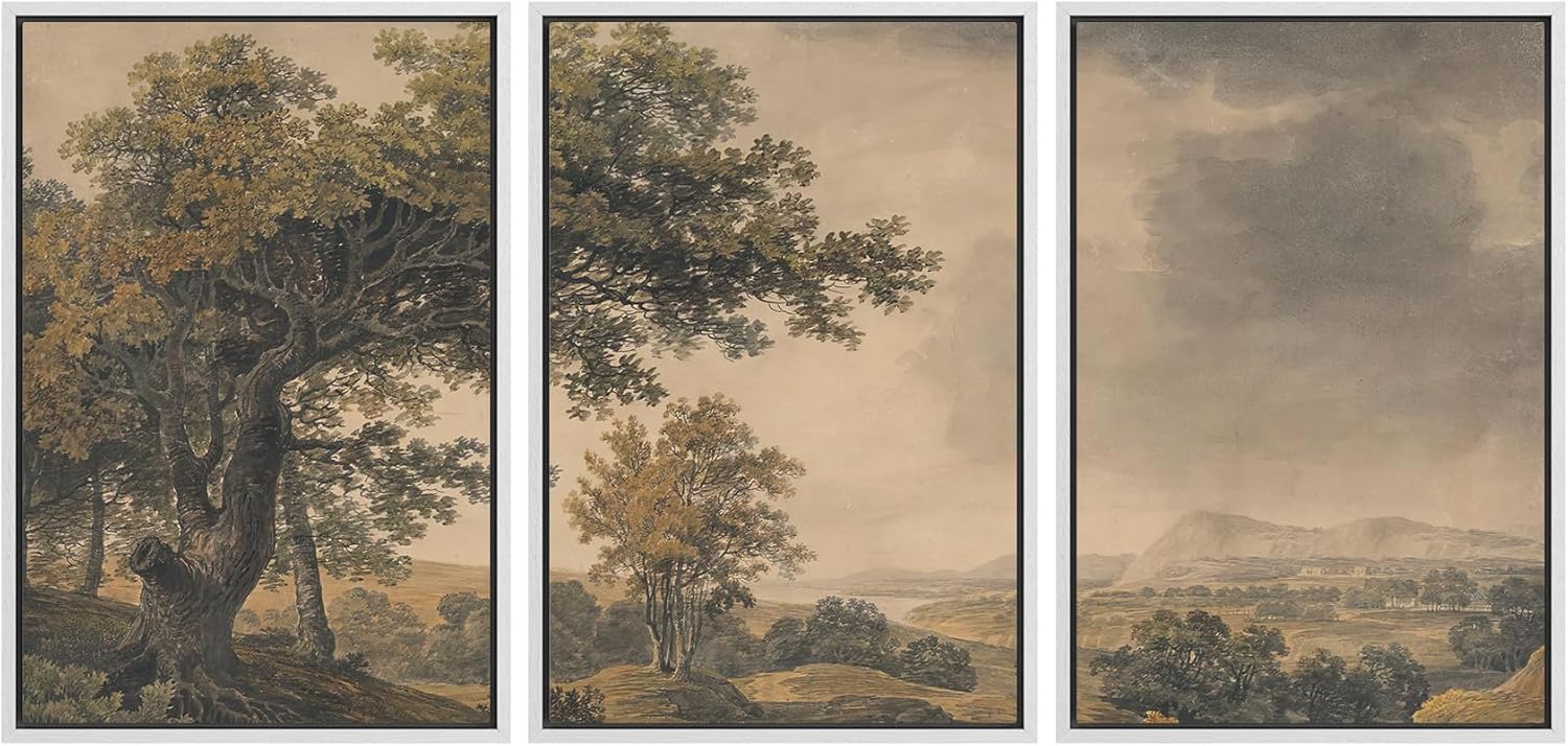 MUDECOR Framed Wall Art Print Set for Vintage Landscape Decor