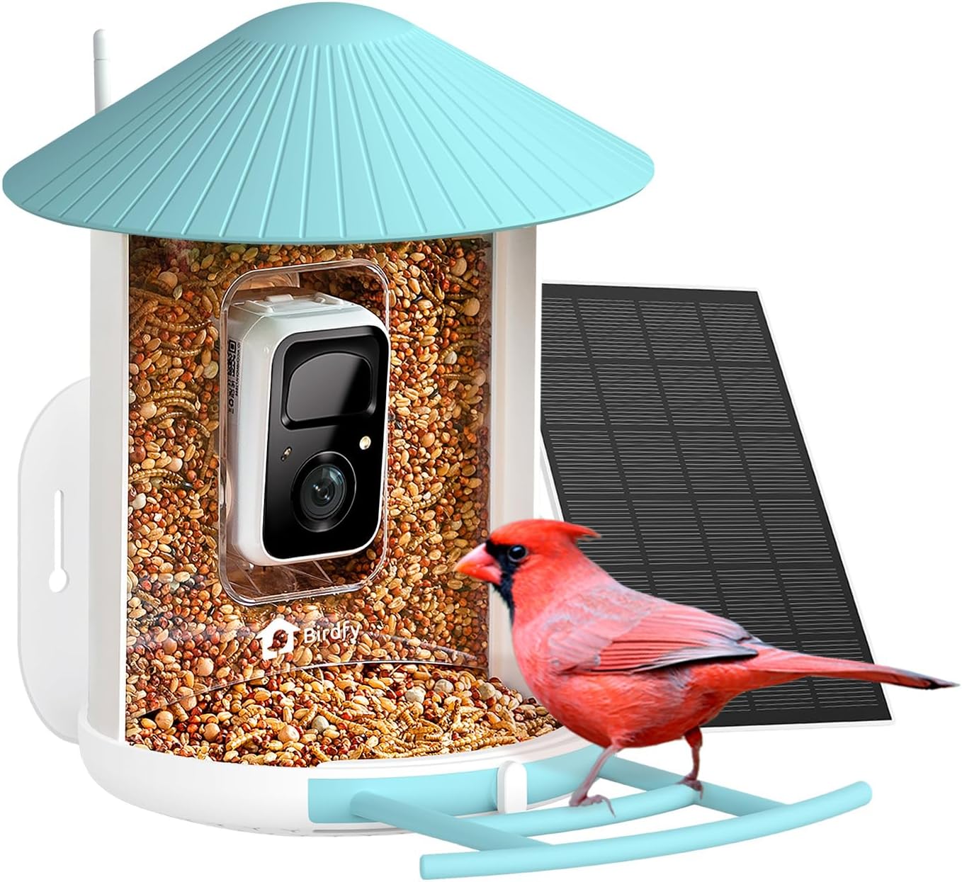 Smart Bird Feeder: Capture Birds Anytime