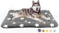 Dog Crate Pad Dog Bed Mat for XLarge Dogs - Washable 48 x 29