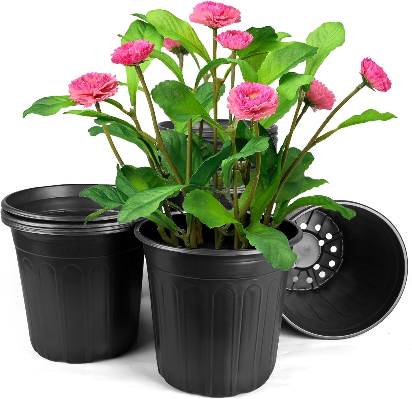 7 Gallon Pots for Plants - Perfect for Cuttings and Transplanting