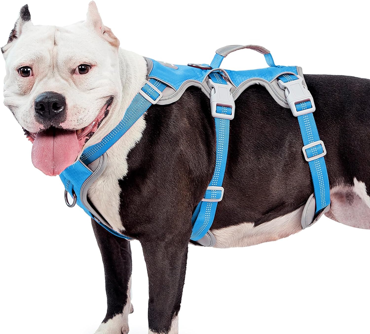 Escape Proof Reflective Dog Harness XL Blue