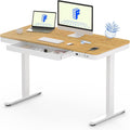FLEXISPOT Comhar Electric Standing Desk with Drawer - Bamboo Look