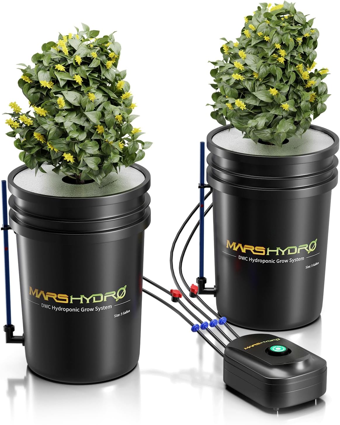 Max Yields: Mars Hydro DWC Grow System