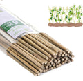 Plant Bamboo Post 6Feet for Garden Support and Climbing Plants