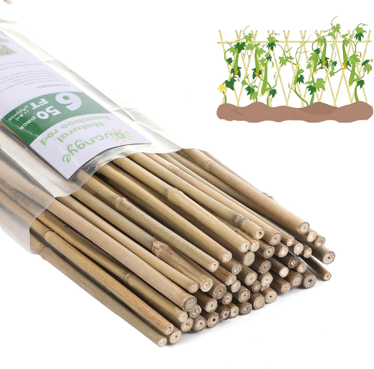 Plant Bamboo Post 6Feet for Garden Support and Climbing Plants