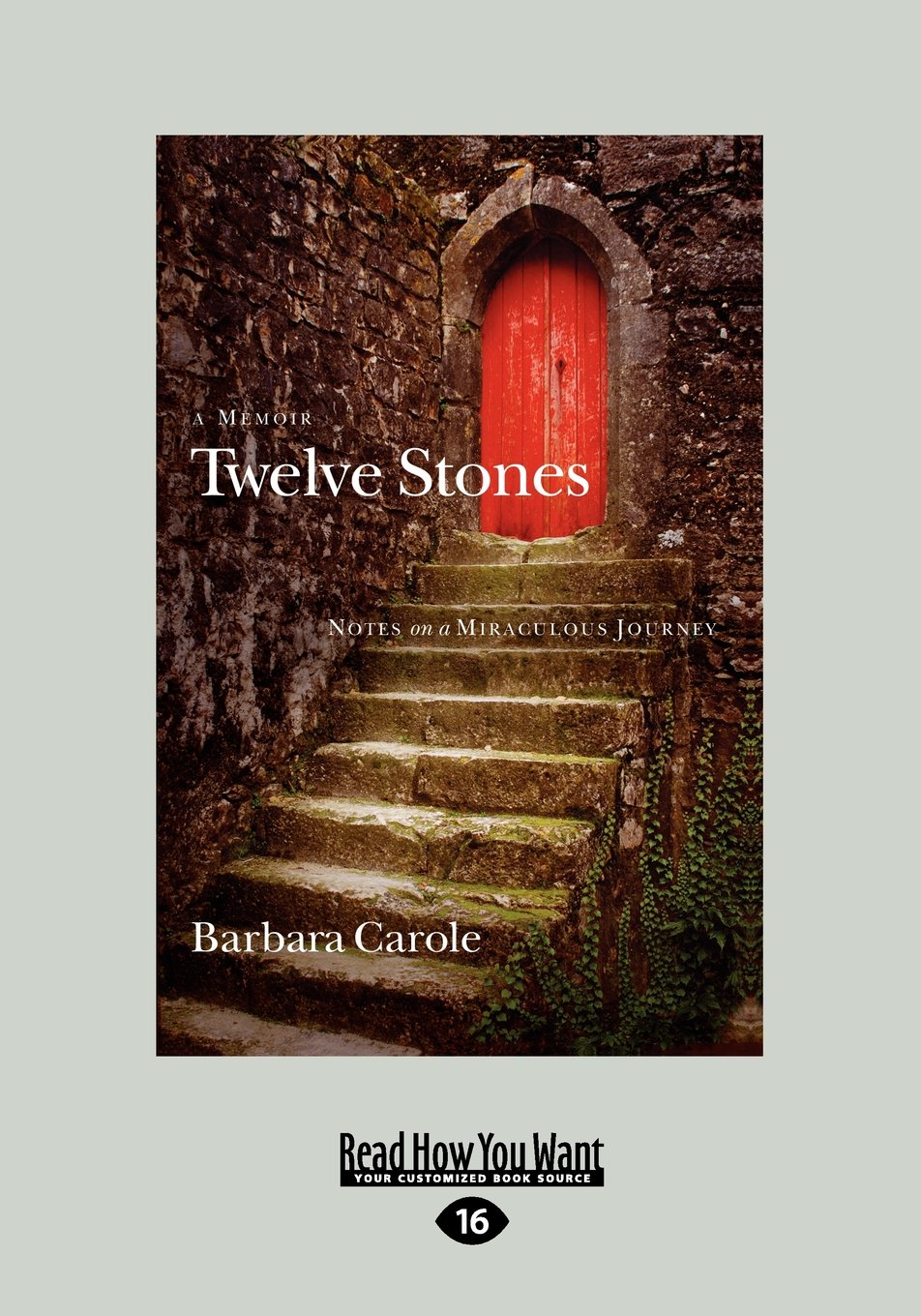 Twelve Stones: Notes on a Miraculous Journey - Large Print Edition