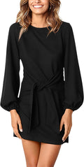 PRETTYGARDEN Womens Fall Lantern Sleeve Short Dress - Tie (Style VC57)