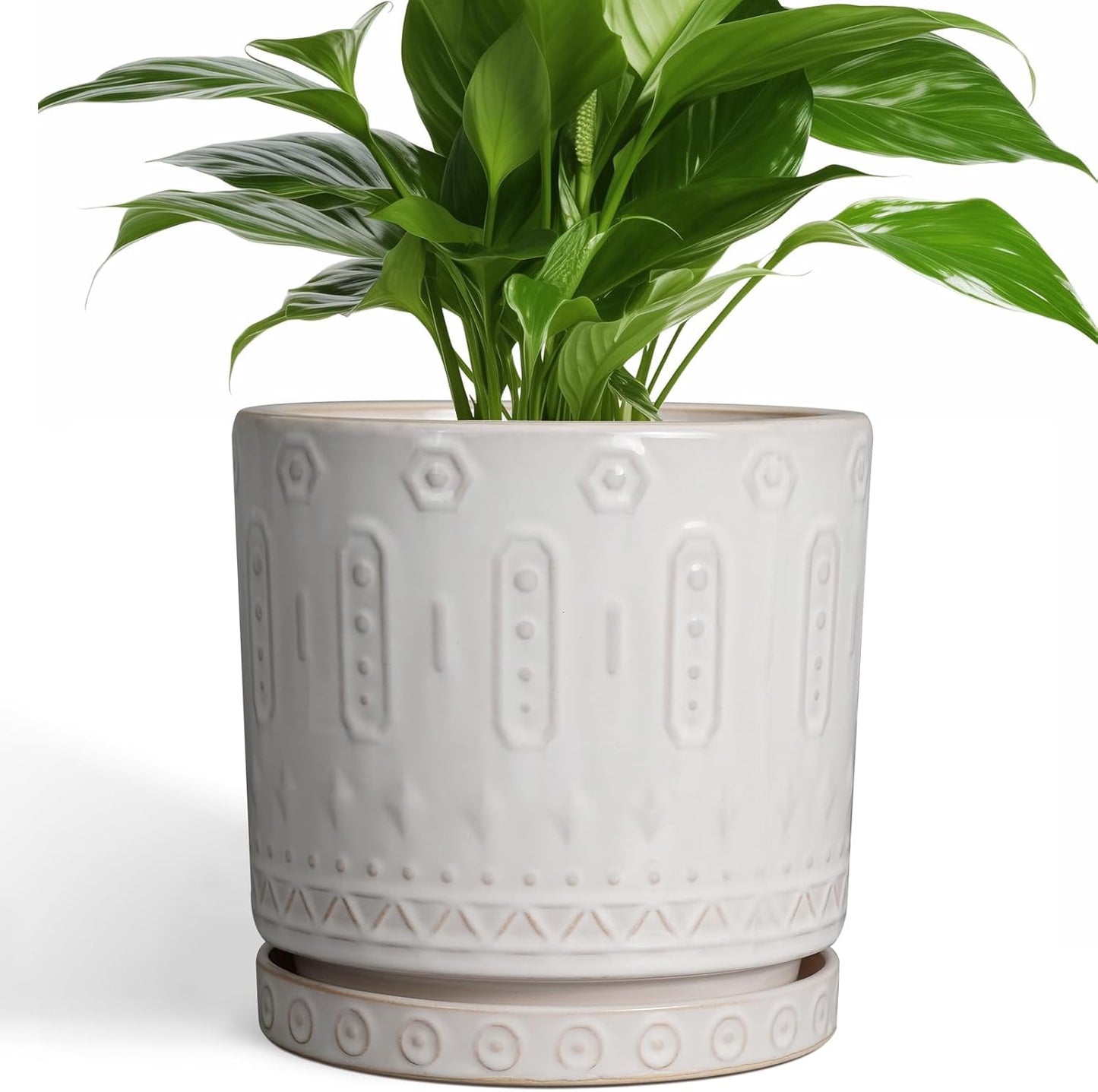 Stylish 8 Inch Ceramic Planter for Indoor and Outdoor Plants