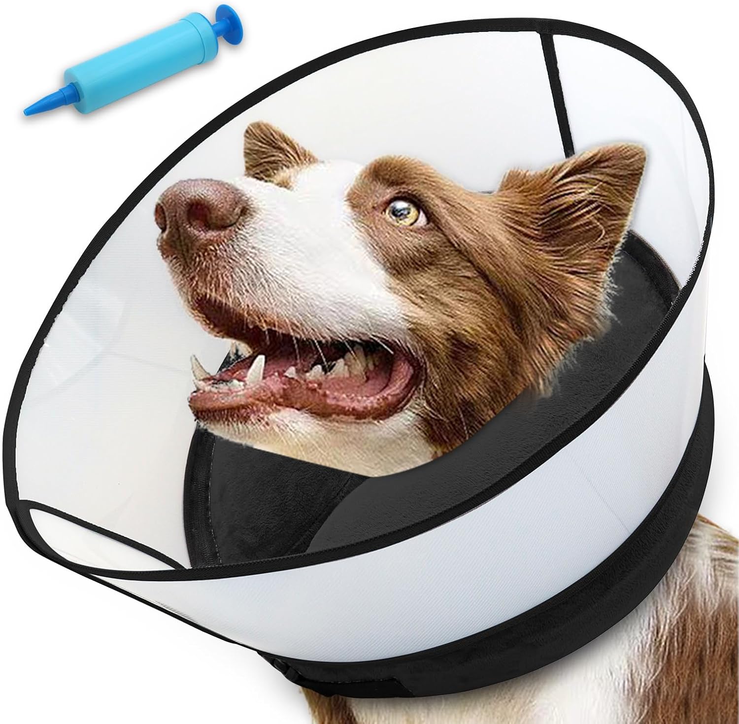 2-in-1 Inflatable Dog Cone Collar with Detachable Shield for Comfort