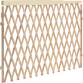 Evenflo Expansion Walk-Thru Room Divider Baby Gate - Retractable