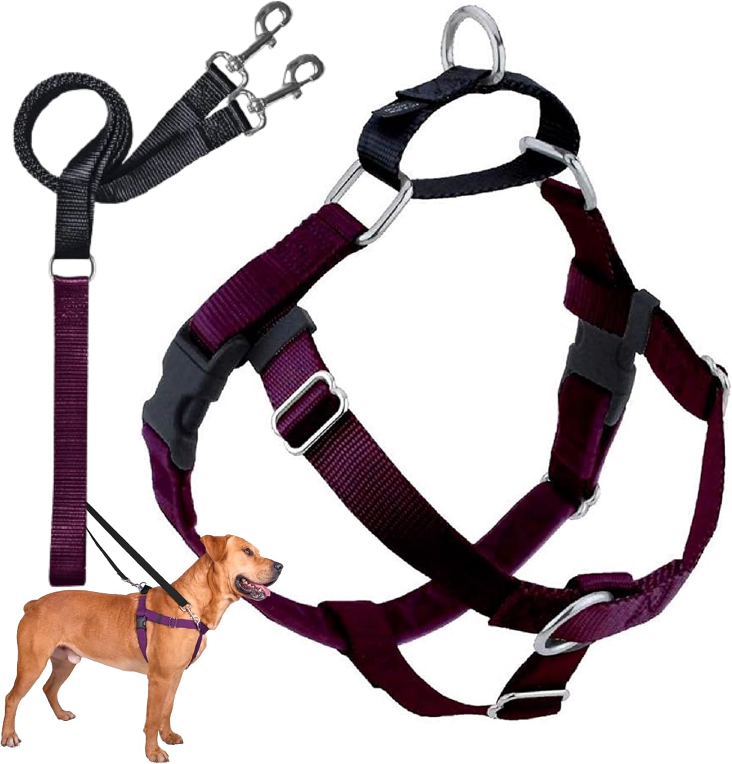 Freedom No Pull Dog Harness for Easy Walking & Control