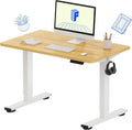 FLEXISPOT EN1 One Piece Standing Desk 40 x 24 in - Smooth Electric