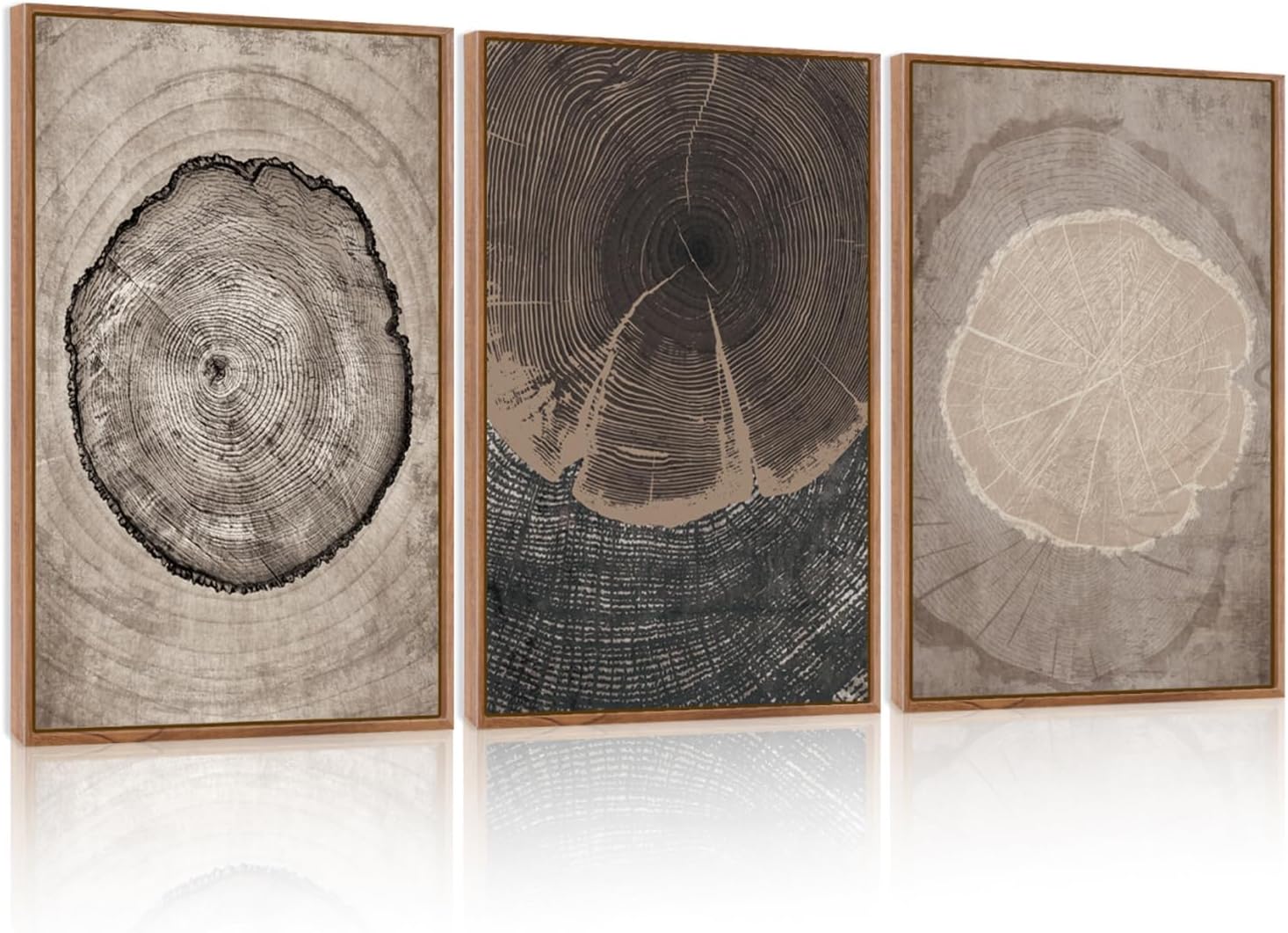 Beige Tree Ring Framed Canvas Wall Art Set for Modern Decor