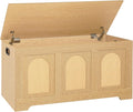 DINZI LVJ Storage Chest 39.4in Rattan-Like Bench - Sturdy Flip-Top