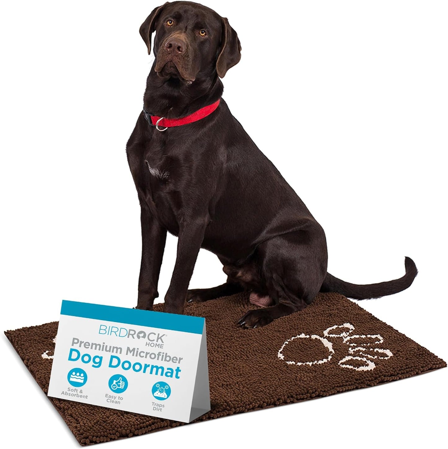 BIRDROCK Home Chenille Dog Doormat - Soft, Absorbent & Durable