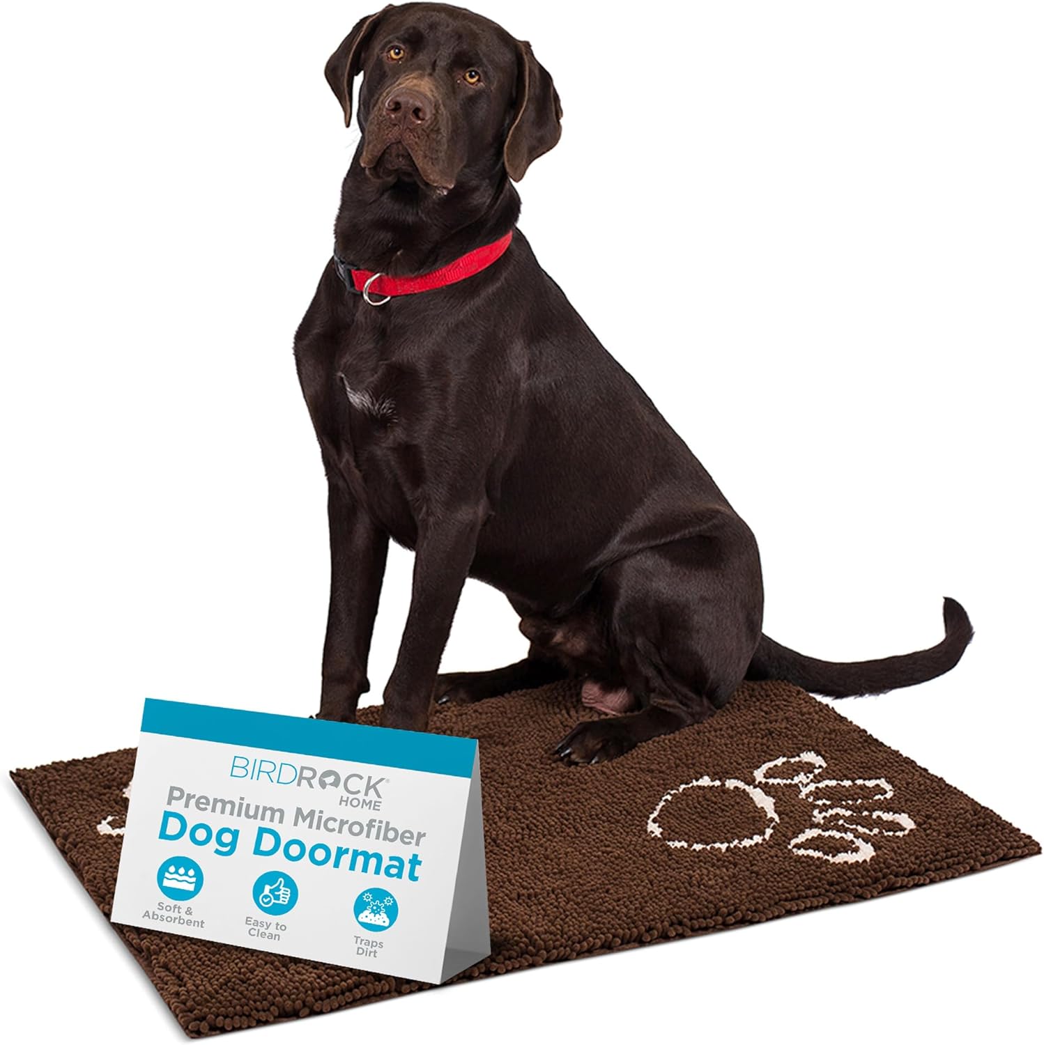 BIRDROCK Home Chenille Dog Doormat - Soft, Absorbent & Durable