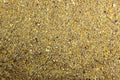Chicken Feed Whole Ingredient Mash - Balanced Nutrition for Flocks