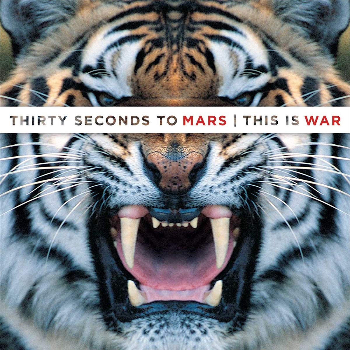 This Is War: A Captivating Journey Through Conflict and Resolution