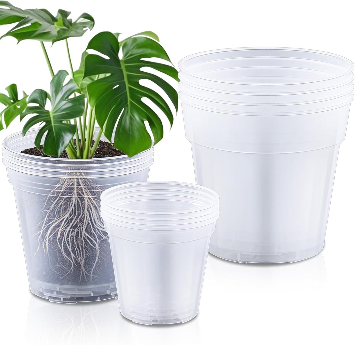 Versatile 12 Pcs Clear Nursery Pots for Indoor Plants and Succulents