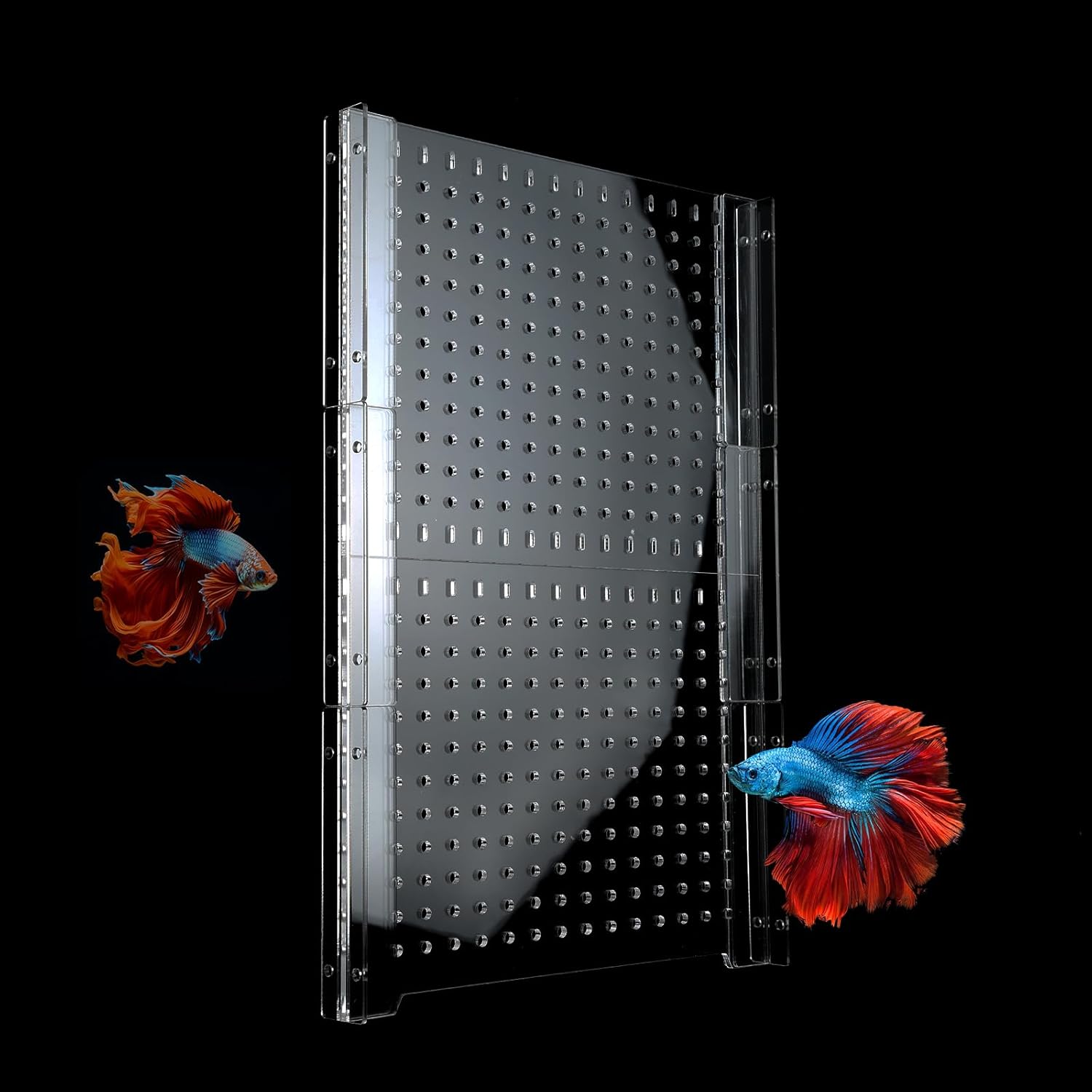 Acrylic Fish Tank Divider for 55 Gallon Aquariums - Adjustable