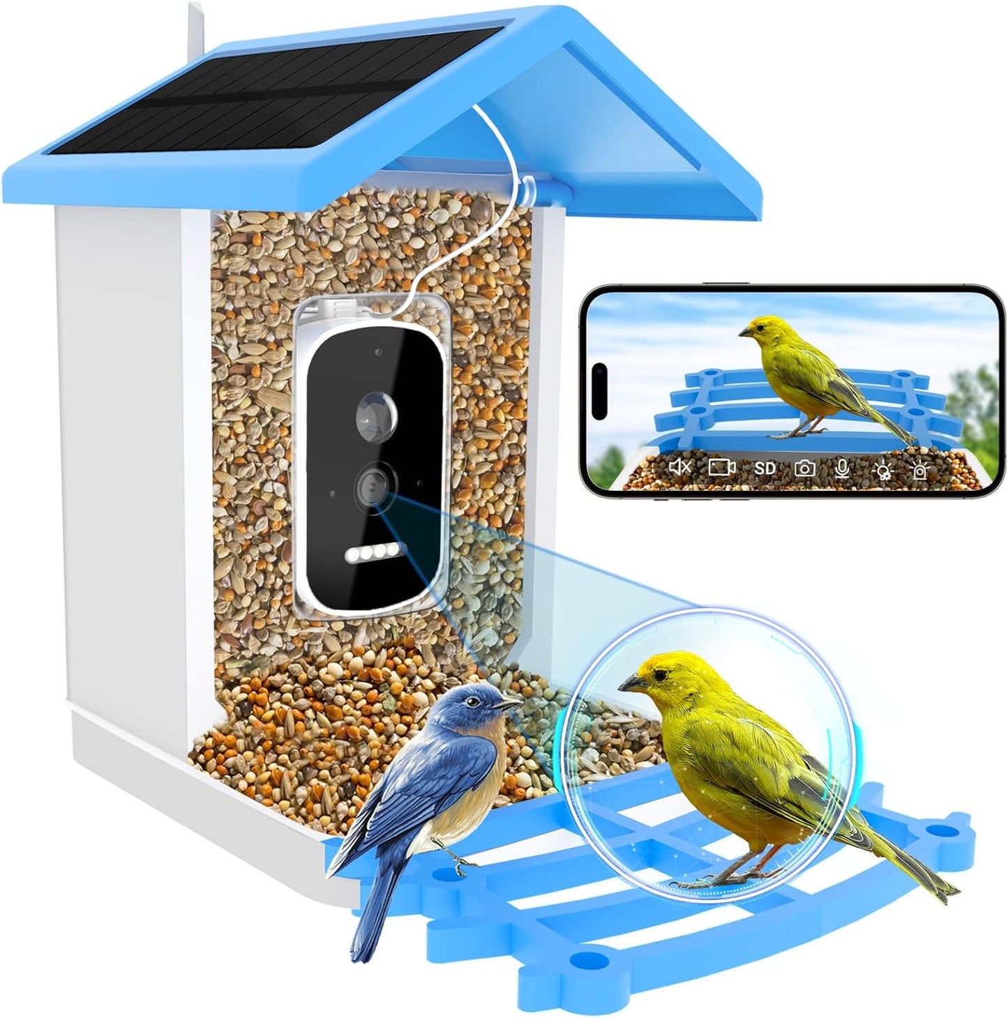 Solar Bird Feeder with Live Cam - Capture Birds in 2.5K!