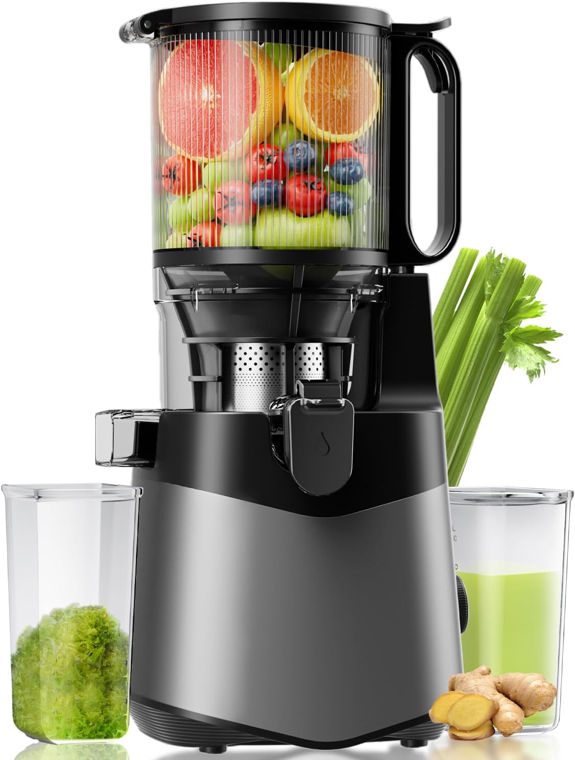 Cold Press Juicer with 5.3 in Feed Chute for Whole Fruits