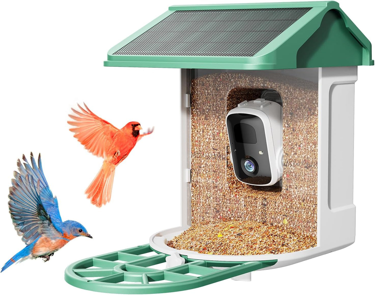 Bird Feeder with Camera - 2K Live Video and AI Species ID