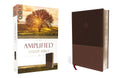 The Amplified Study Bible Leathersoft Brown Large Print - Clear Study