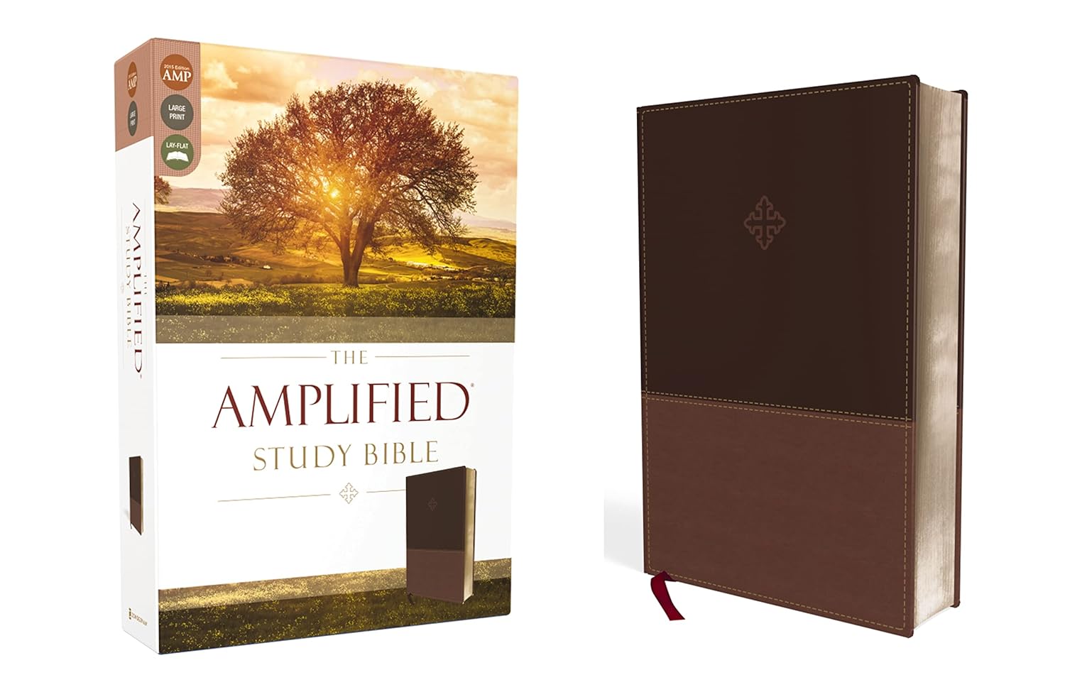 Amplified Study Bible in Leathersoft Brown for Large Print Readers