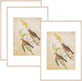 8x12 Picture Frame Set of 3 for Urban Wall Art Display