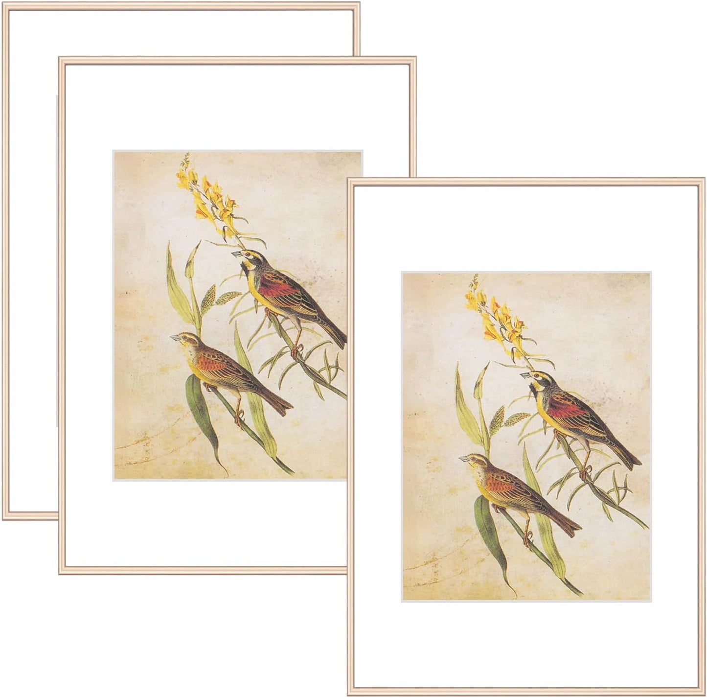 8x12 Picture Frame Set of 3 for Urban Wall Art Display