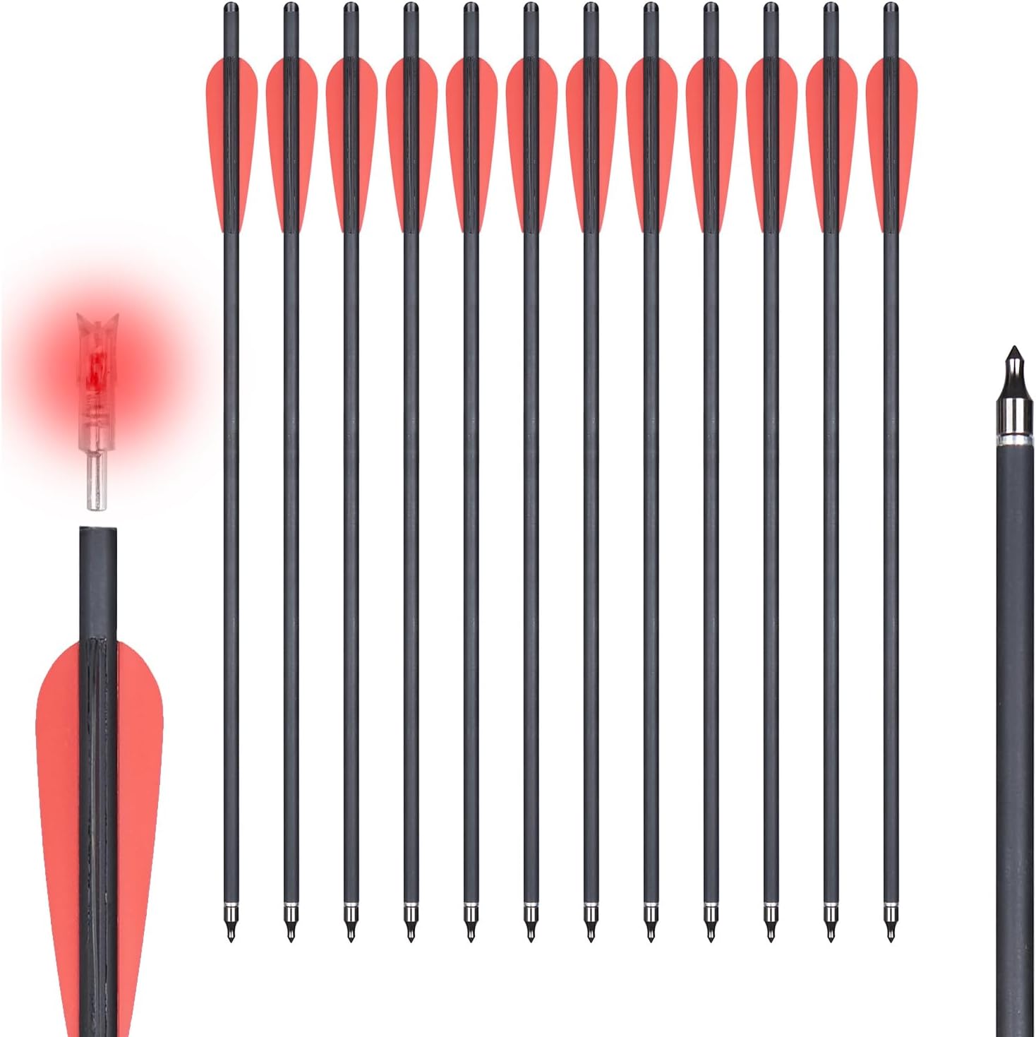 TOPARCHERY 20 Inch Crossbow Bolts with Lighted Nocks for Hunting