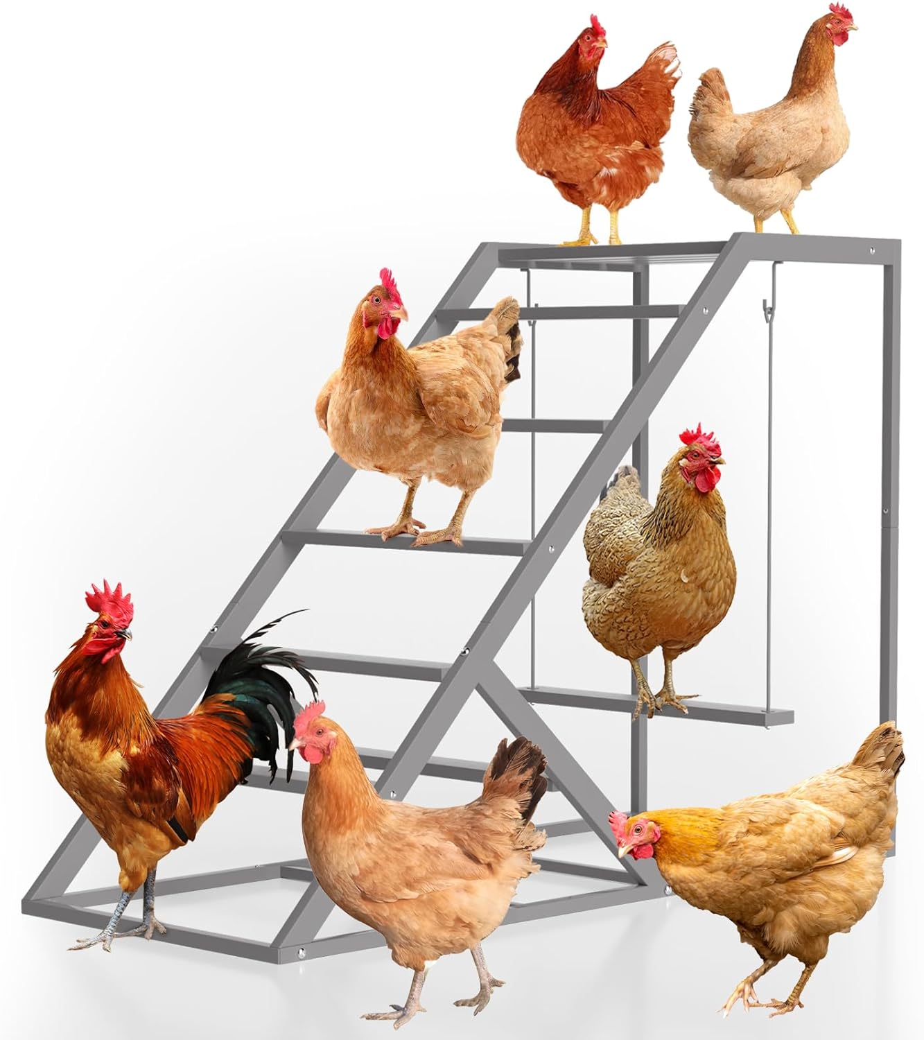Chicken Perch for Coop with Ladder and Swing for Chickens